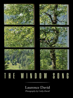 cover image of The Window Song